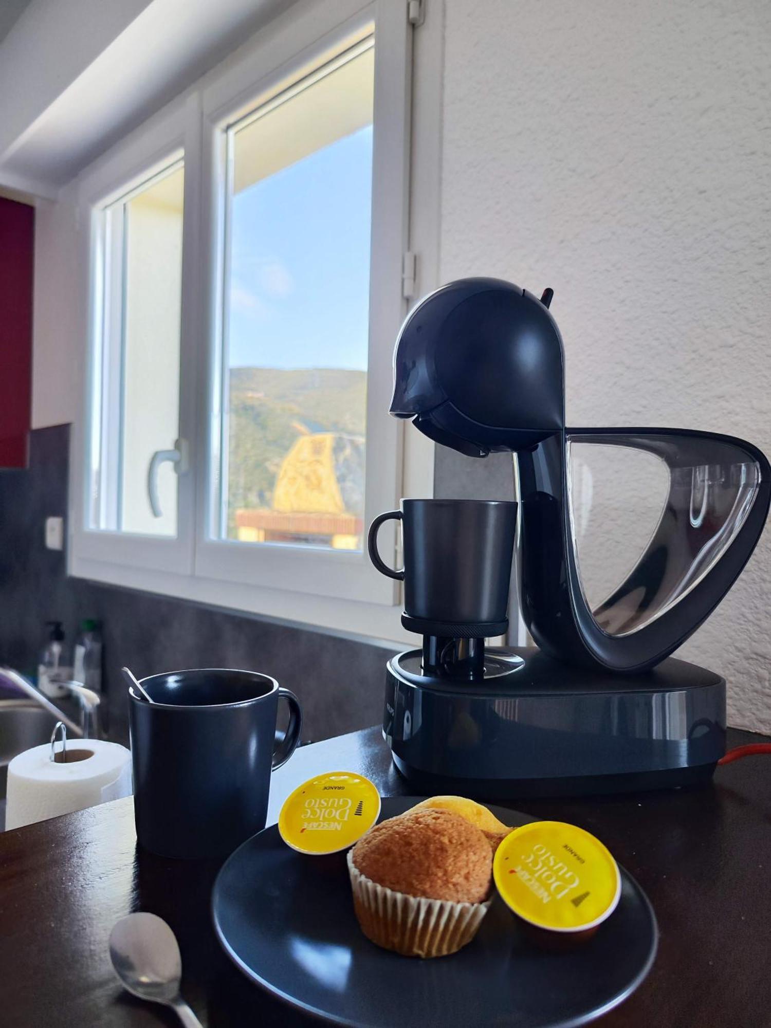 Appartement Avec Une Belle Vue Sur Palalda Amélie-les-Bains-Palalda Εξωτερικό φωτογραφία